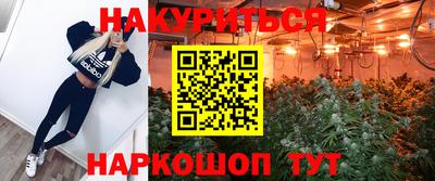 соль ск Будённовск