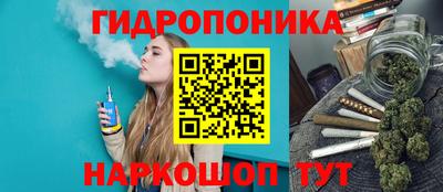 соль ск Будённовск