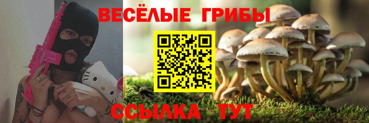 Псилоцибиновые грибы прущие грибы  Вход с VPN  цены   Псилоцибиновые грибы мицелий  Аксай 